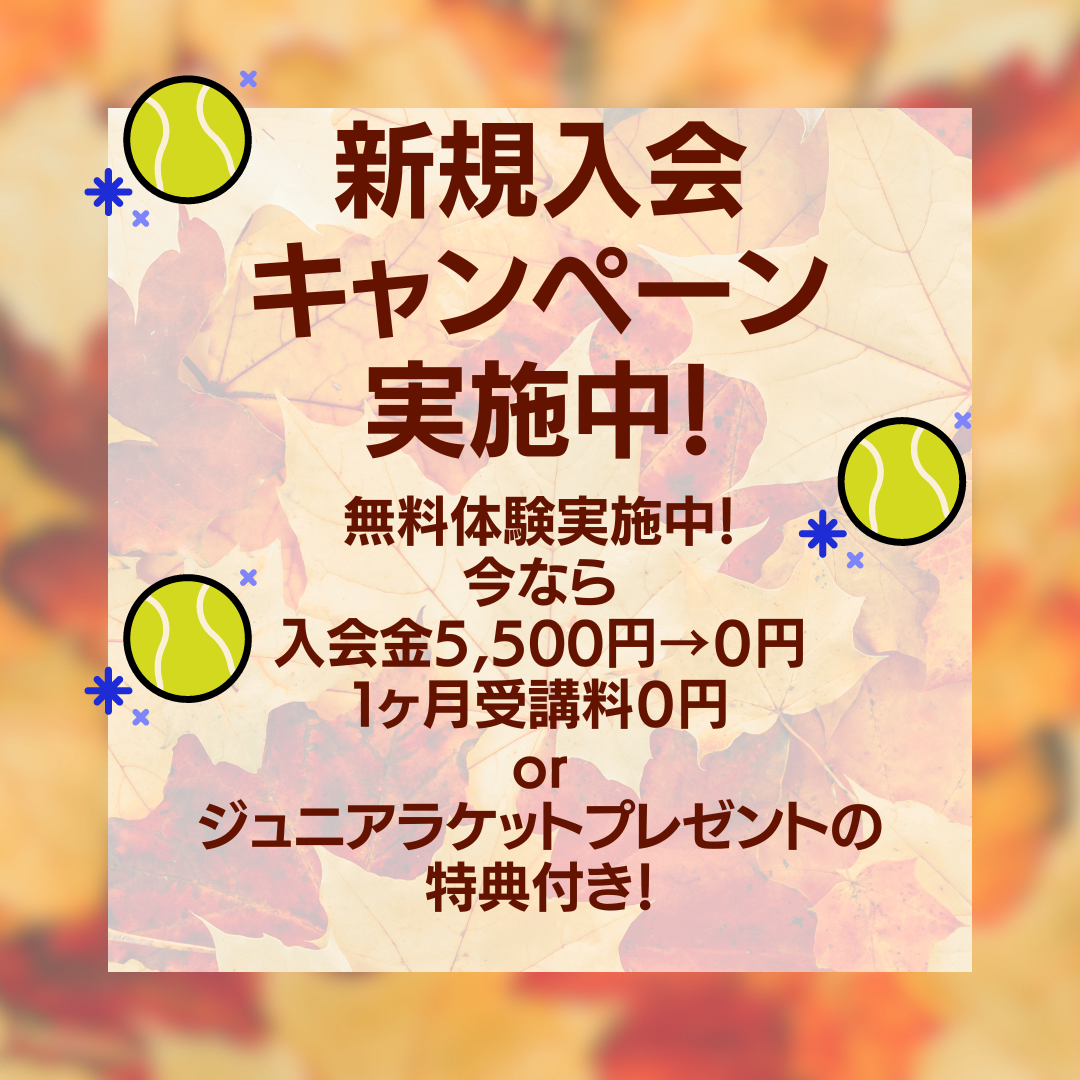 体験レッスンのご案内
